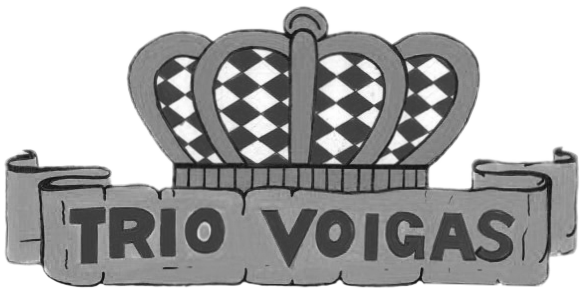 zur Homepage von Trio Voigas